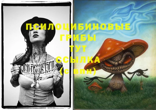 а пвп мука Аркадак