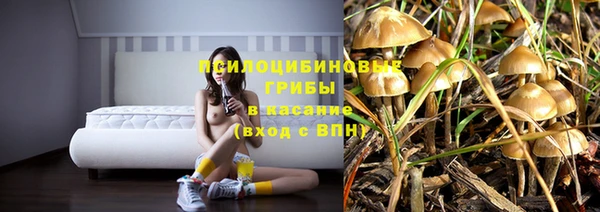 молекула духа Балахна