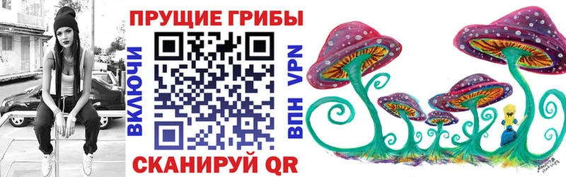 Галлюциногенные грибы GOLDEN TEACHER где найти наркотики Буйнакск