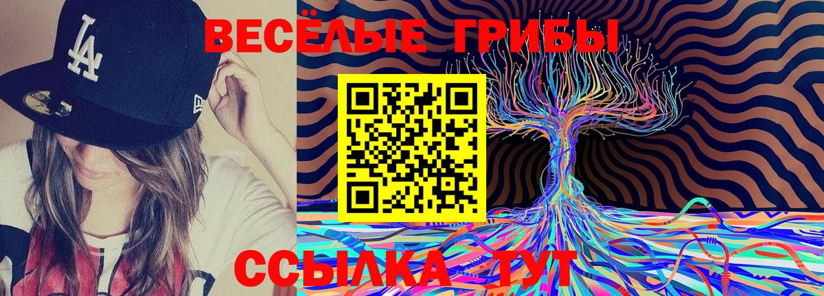 Галлюциногенные грибы прущие грибы Буйнакск