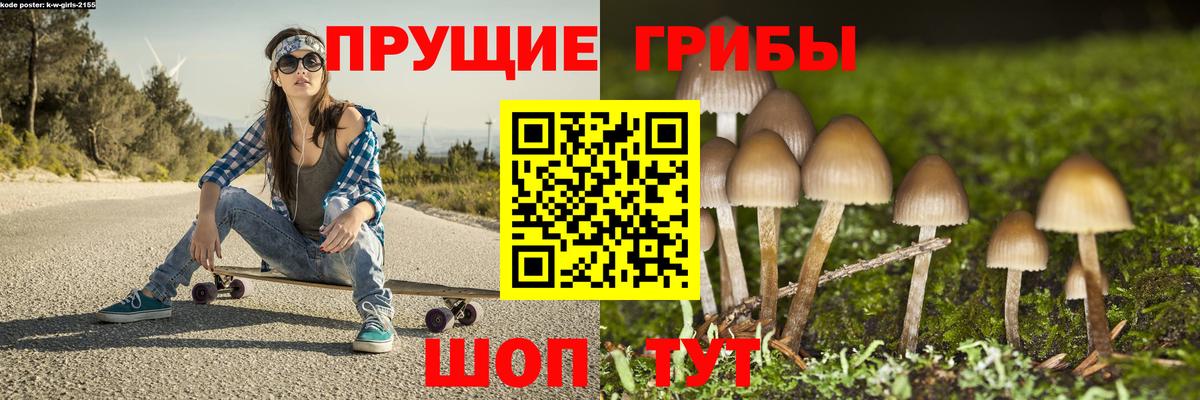 Буйнакск  Псилоцибиновые грибы Magic Shrooms  Вход с VPN 
